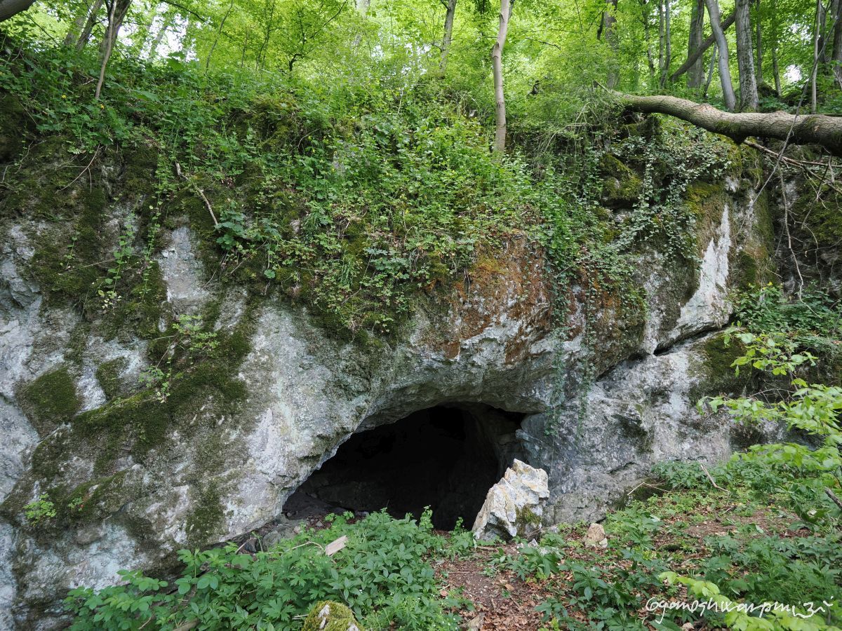 Žitného jeskyně ve Křtinském údolí. Foto: Svámí Gyaneshwarpuri, samospoušť (2025).