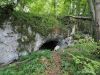 Hermit Photo